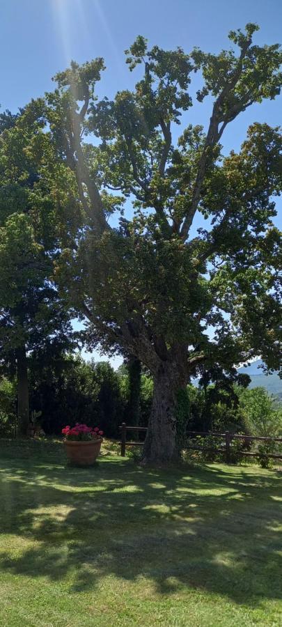Poggio Al Sole Hotel Fiesole Ngoại thất bức ảnh
