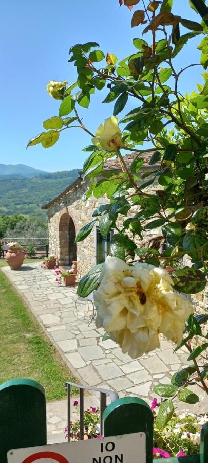 Poggio Al Sole Hotel Fiesole Ngoại thất bức ảnh